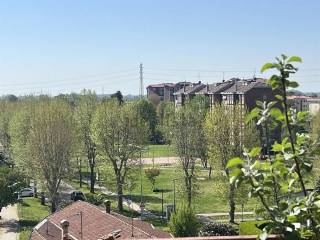 Vista