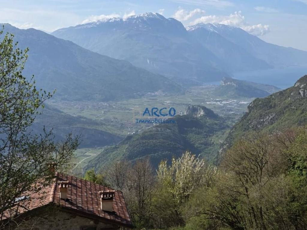 Vista