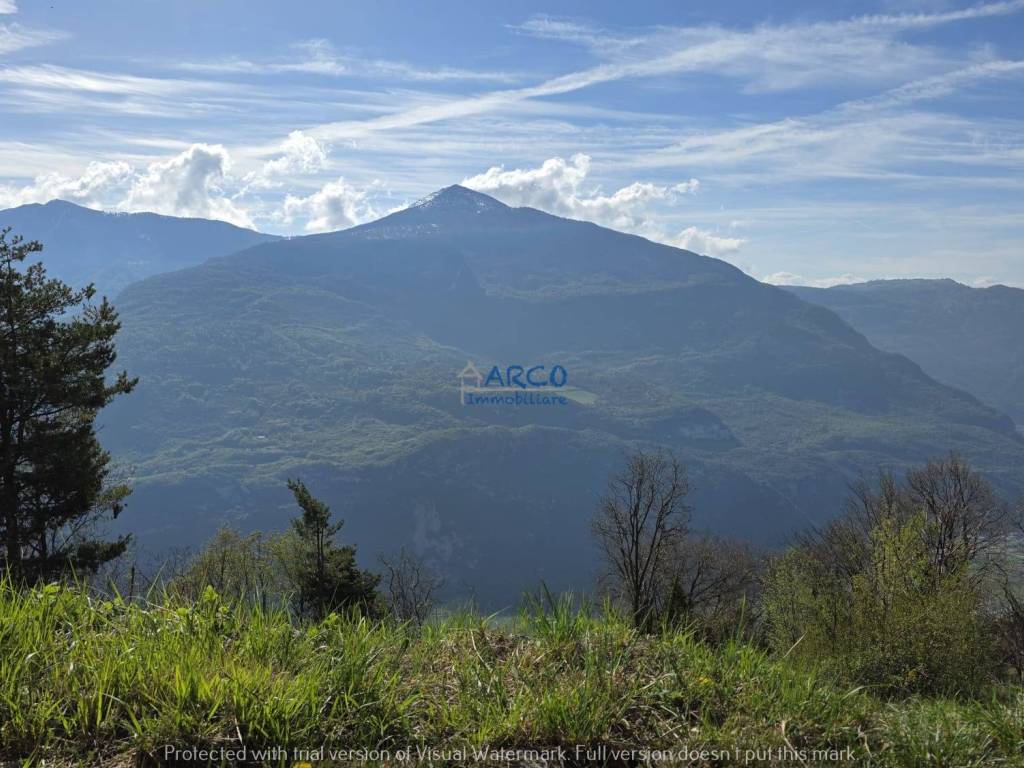 Vista