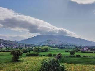Vista