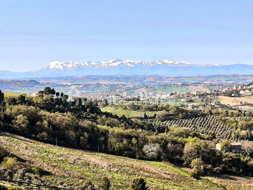 Vista