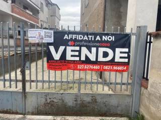 Zona