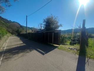 Zona