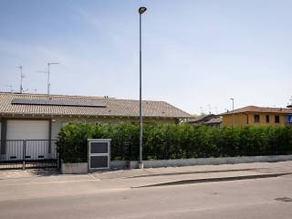 Zona