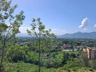 Vista