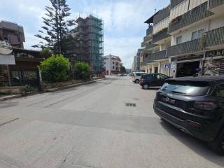 Zona