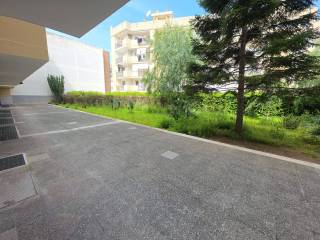 Zona