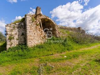 Dettagli