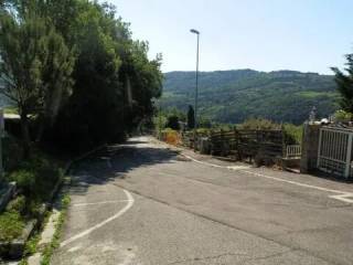 Zona