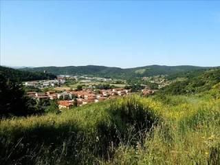 Vista