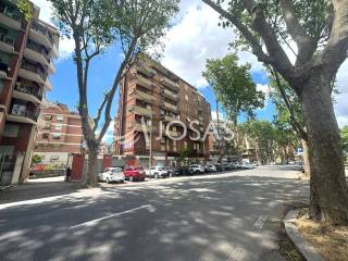 Zona