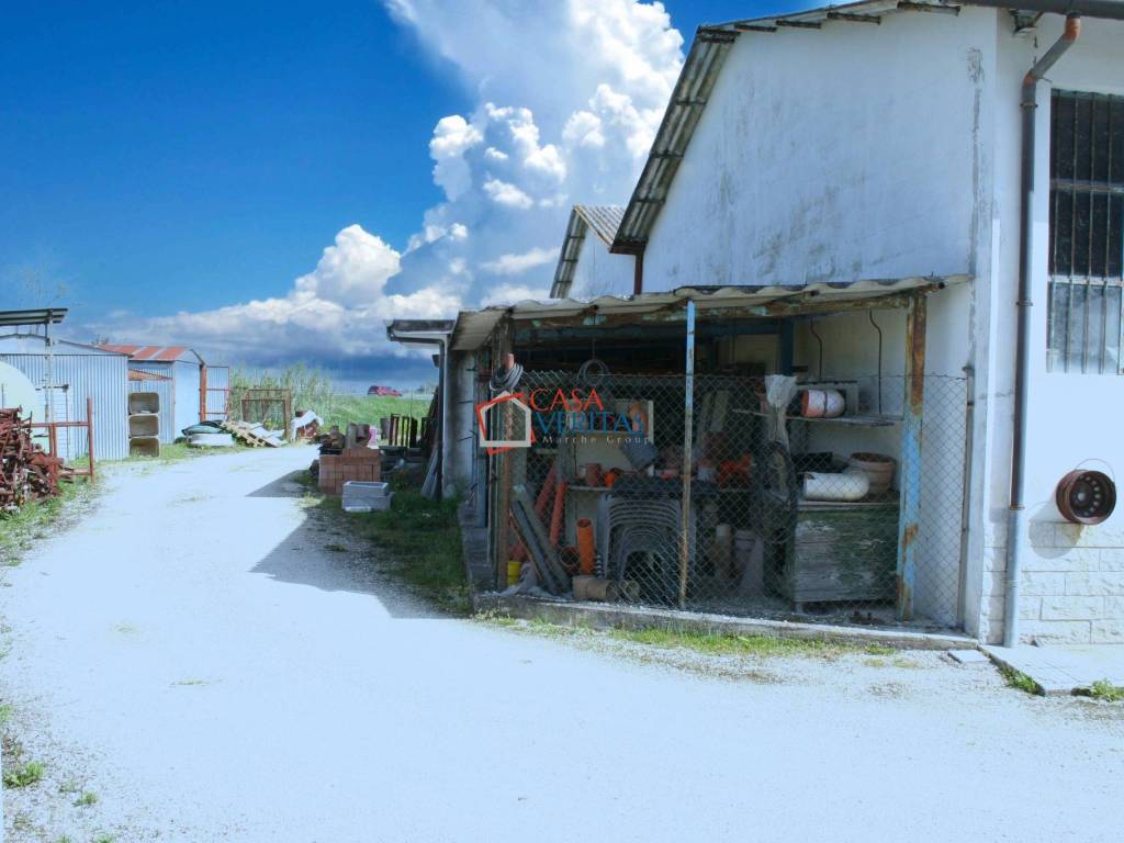 Terreno