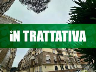 Zona