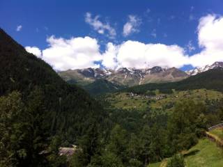 Vista
