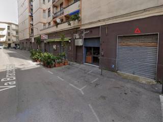 Zona