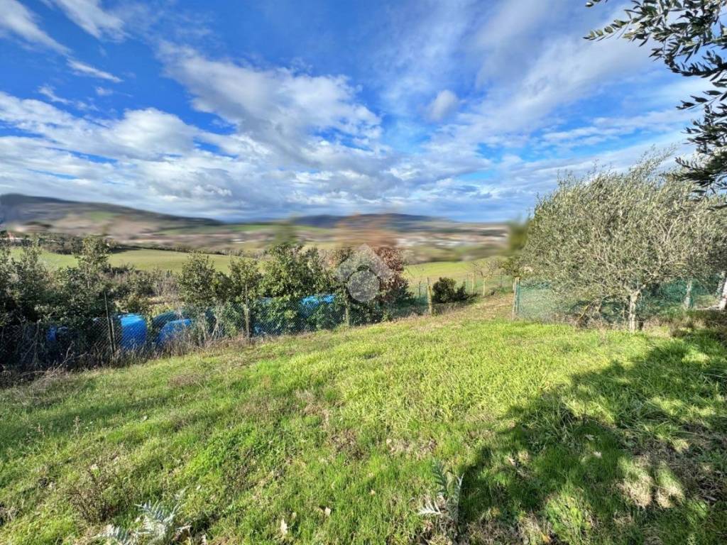 Terreno