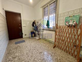 Ingresso
