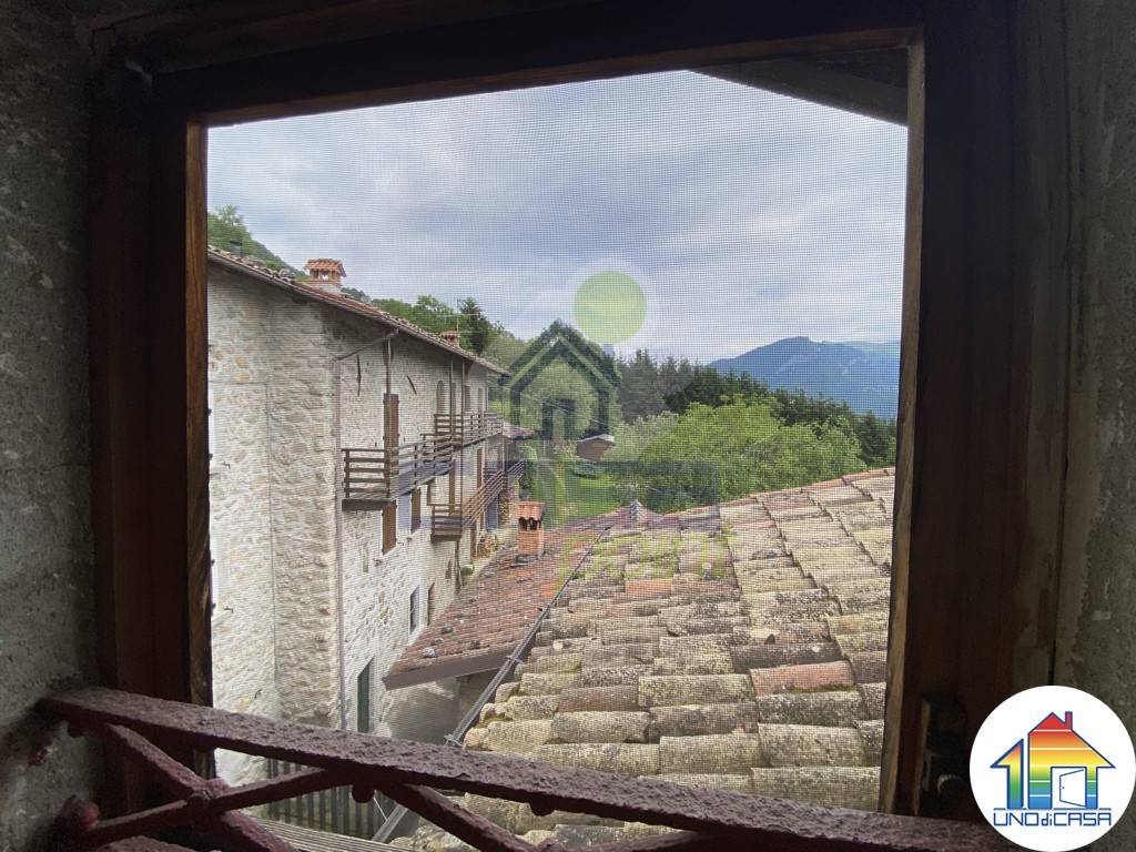 Vista