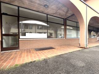 Ingresso