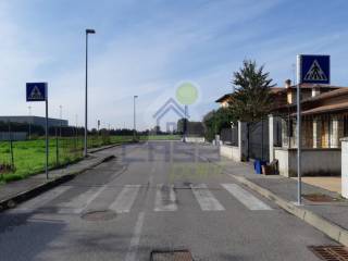 Zona