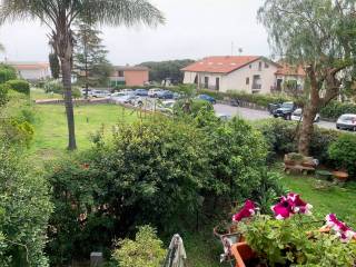 Vista