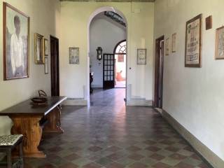 Ingresso