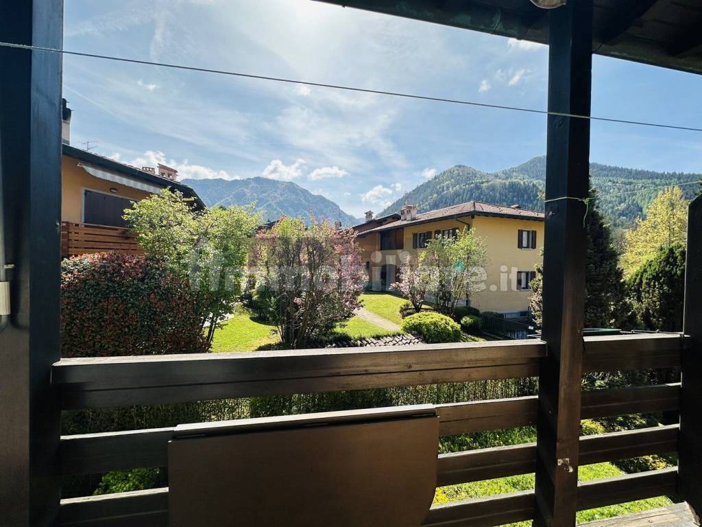 Vista