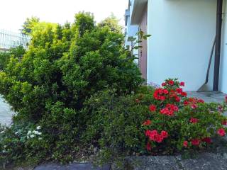Cortile interno