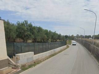 Zona