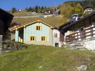 Zona
