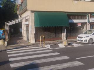 Zona