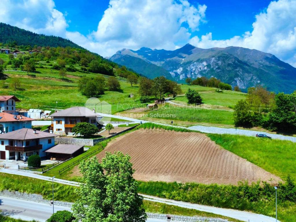 Vista