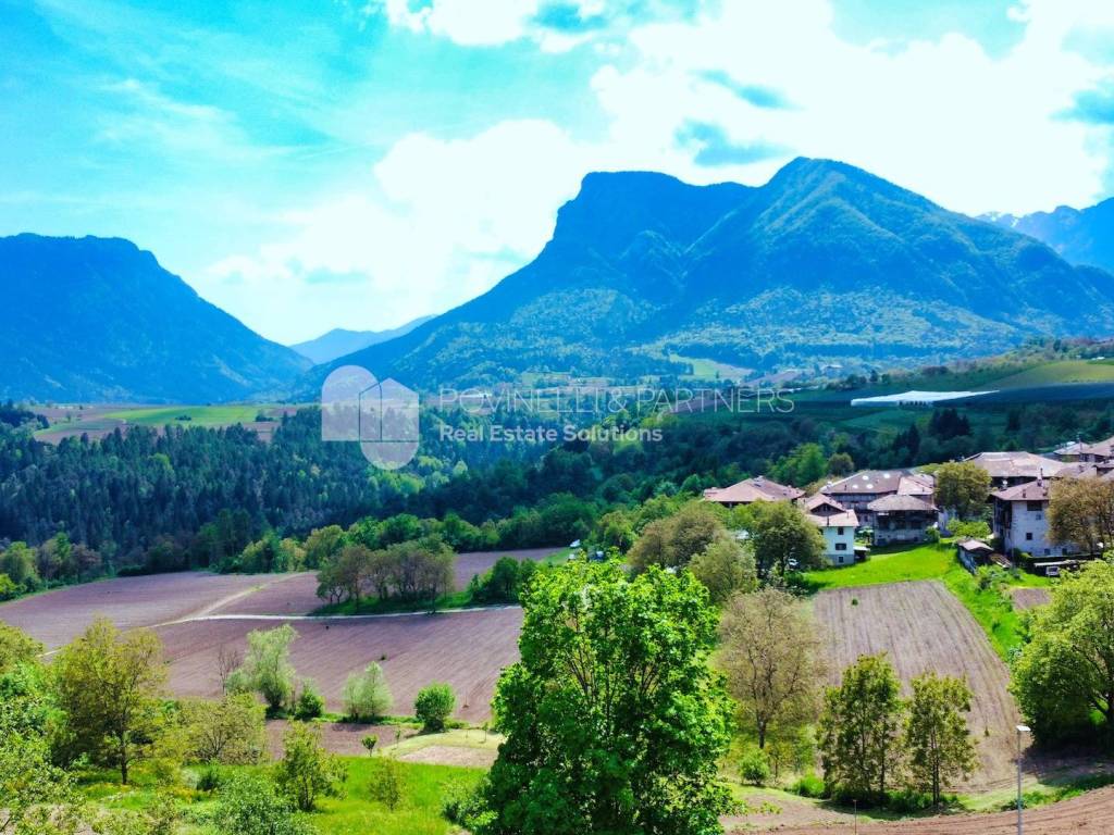 Vista