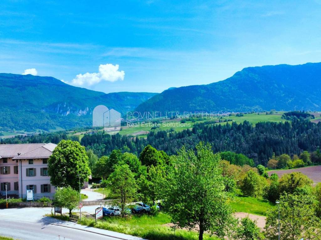 Vista