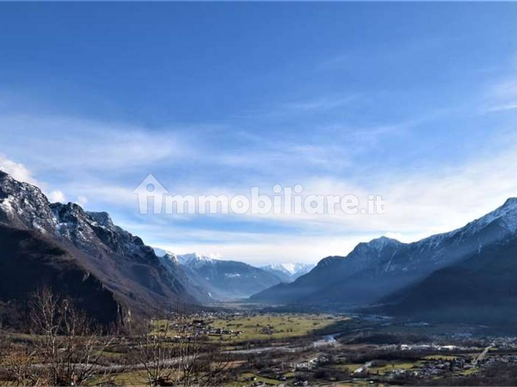 Vista