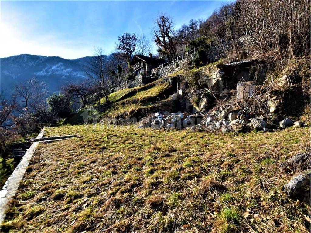 Terreno