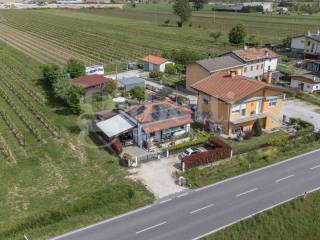 Vista