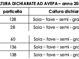 Altro