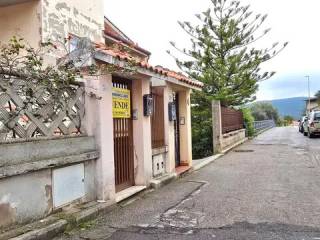 Zona