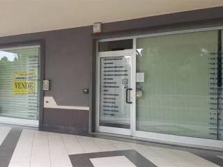 Ingresso
