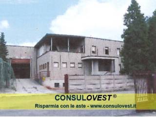 Zona