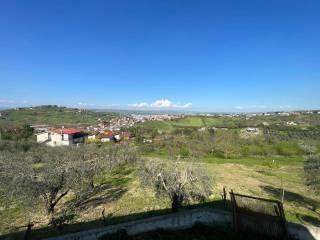 Vista