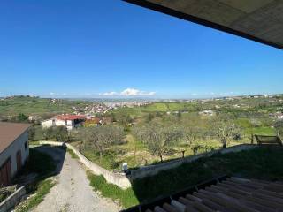 Vista