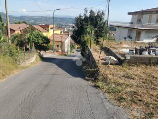 Zona