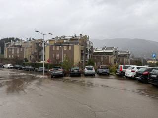 Zona