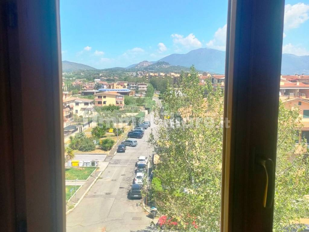 Vista