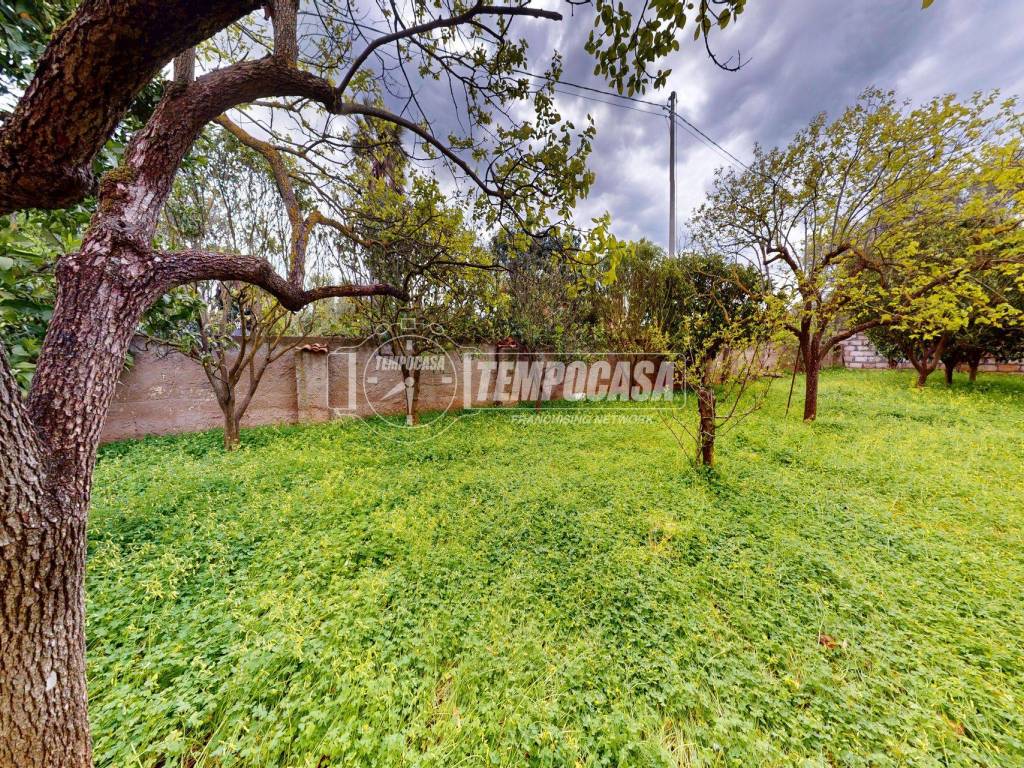 Terreno