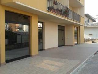 Zona