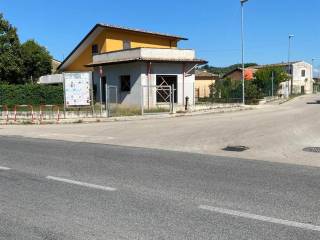 Zona