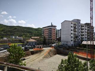 Vista